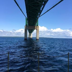 Meet your Posher, Dominick